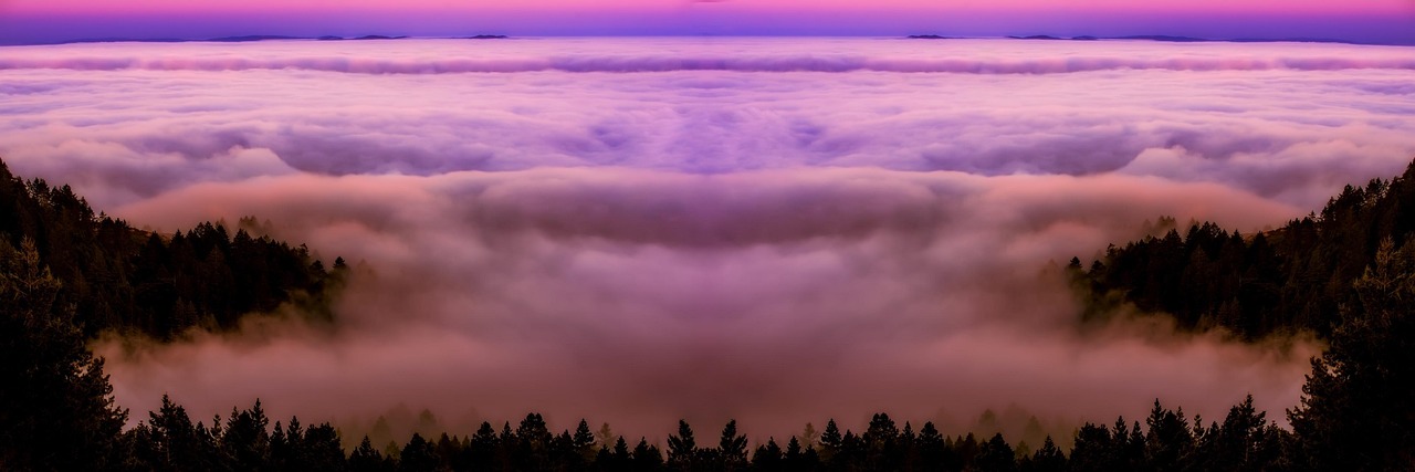 Your Future Starts Here